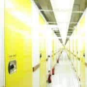Climate-Controlled Storage vs. Standard Storage: Which is Right for You?