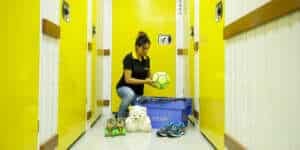 your-space-secure-household-self-storage-units-climate-control-for-rent-safe-storage-household-goods-short-long-term-near-me Secure, climate-controlled household self-storage at Your Space. Store goods short or long-term. Conveniently located nearby.