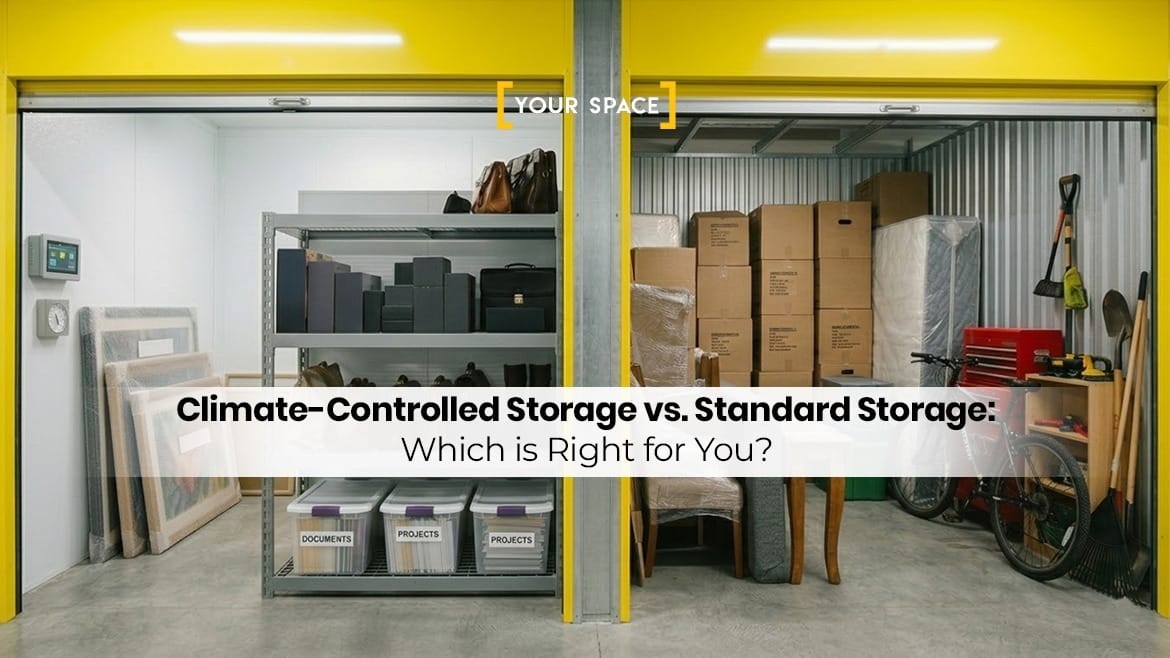 Climate-Controlled Storage vs. Standard Storage: Which is Right for You?
