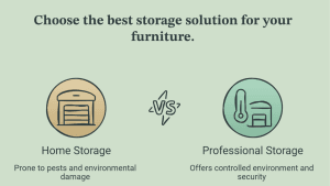 termite protection for furniture storage