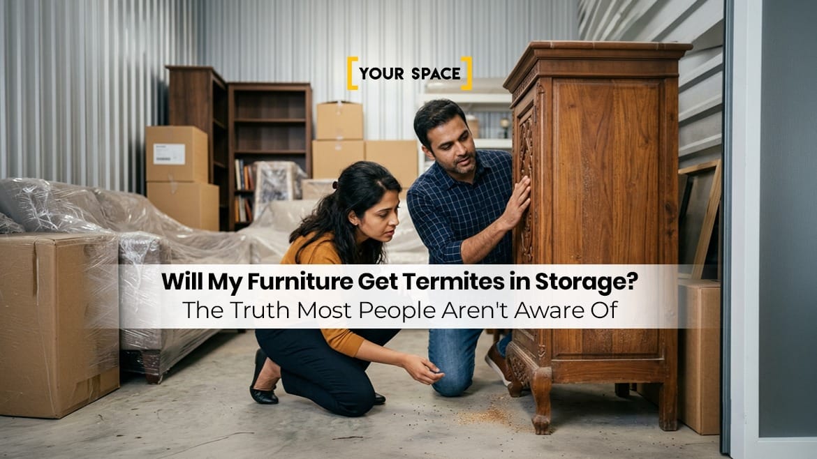 Will My Furniture Get Termites in Storage? The Truth Most People Aren’t Aware Of