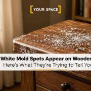 Why Do White Mold Spots Appear on Wooden Furniture? Here’s What They’re Trying to Tell You