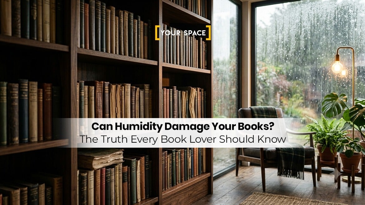 Can Humidity Damage Your Books? The Truth Every Book Lover Should Know