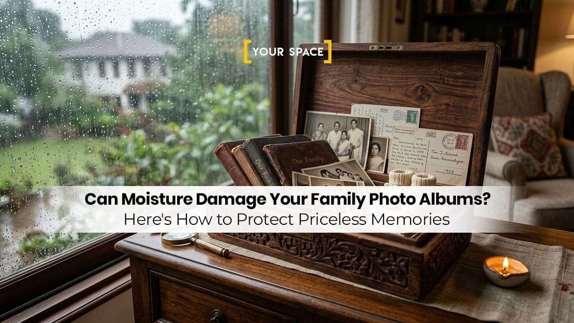 Can Moisture Damage Your Family Photo Albums? Here’s How to Protect Priceless Memories